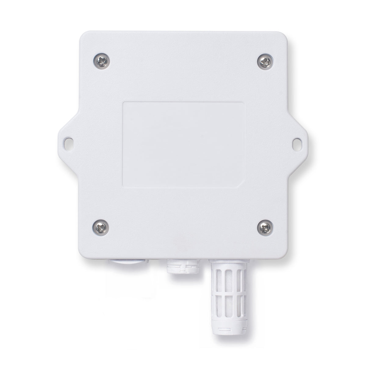 S31-FE: NB-IoT/LTE-M Temperature and Humidity Sensor