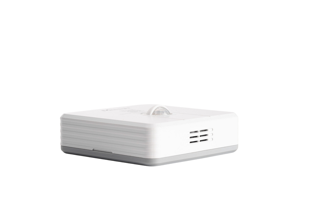 WS203: LoRaWAN Motion & TH Sensor