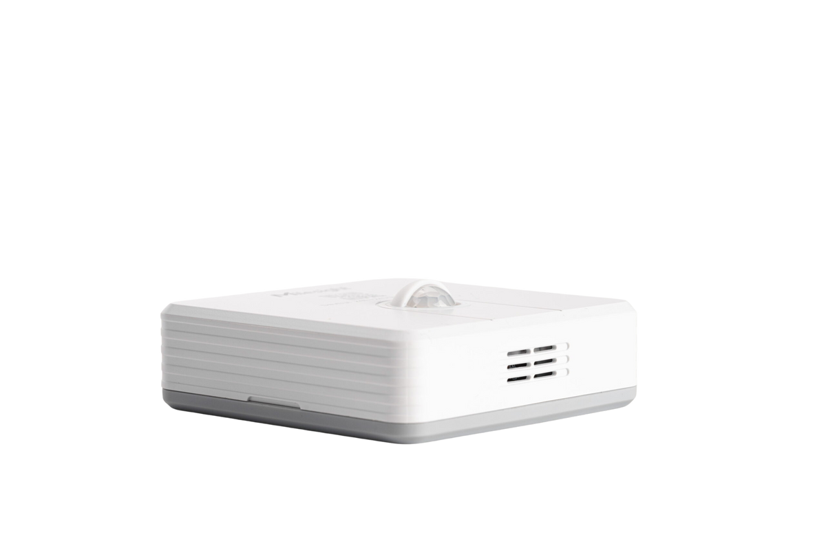 WS203: LoRaWAN Motion & TH Sensor