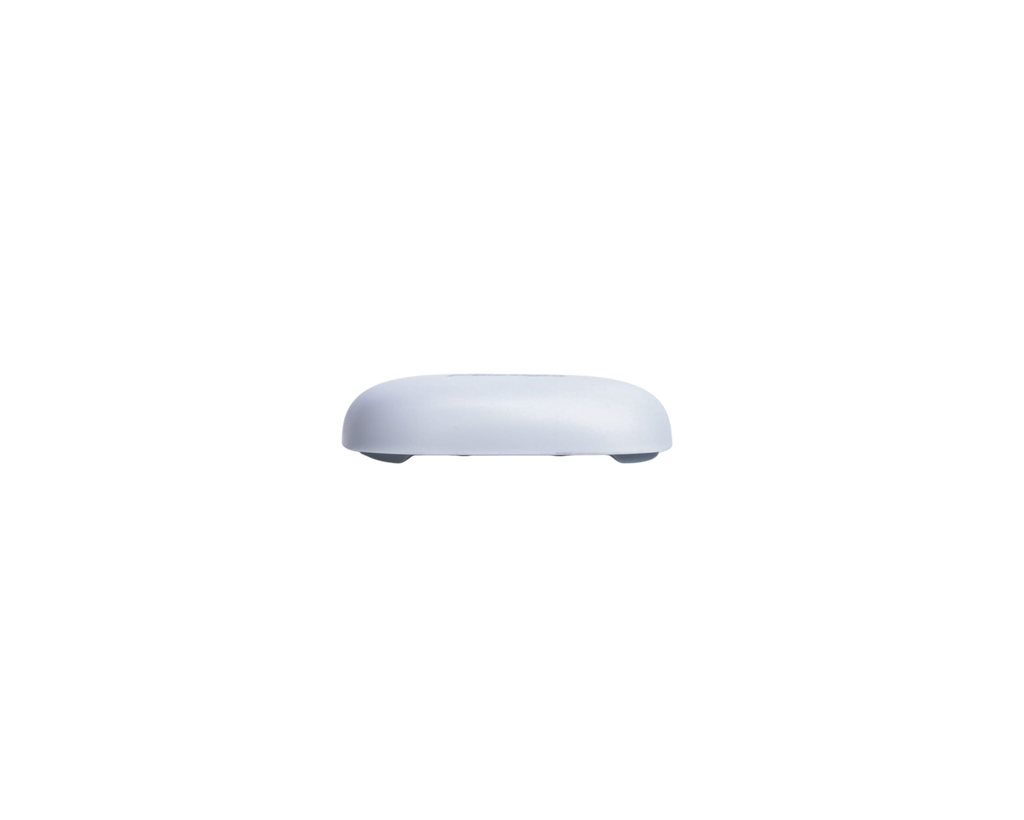 WS303: Mini Leak Detection Sensor
