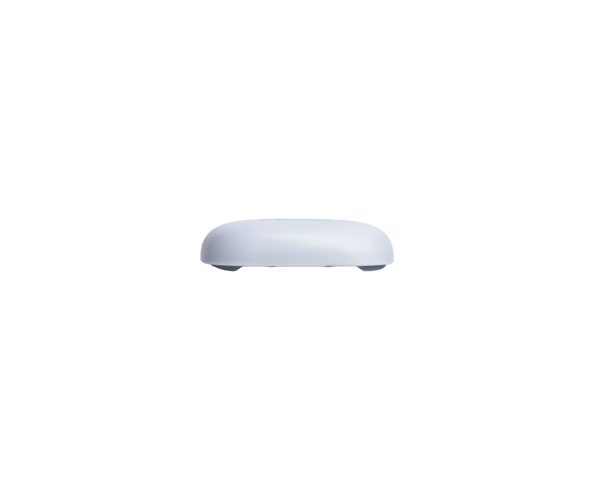 WS303: Mini Leak Detection Sensor