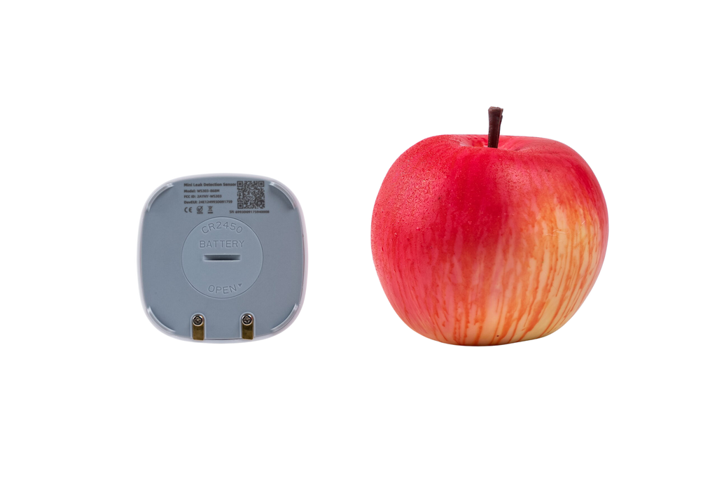 WS303: Mini Leak Detection Sensor