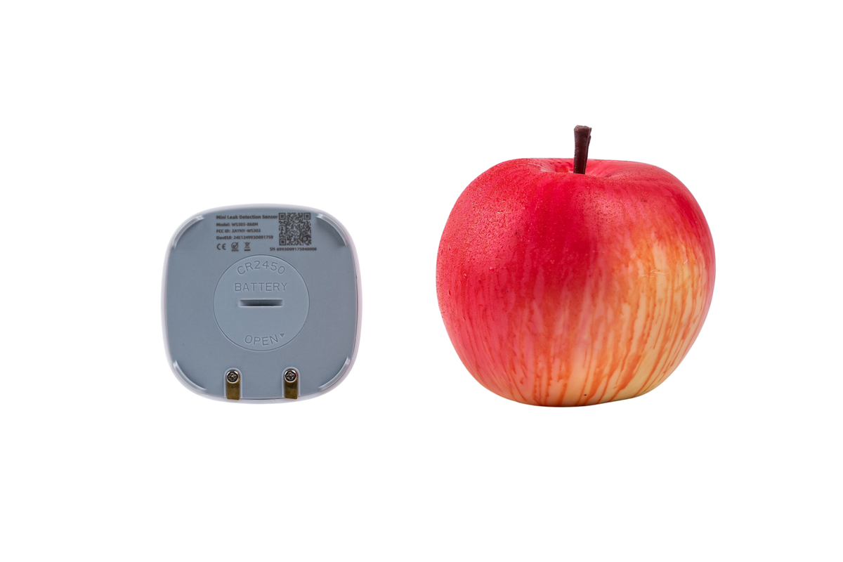 WS303: Mini Leak Detection Sensor