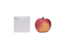 WS50X: LoRaWAN Wall Switch
