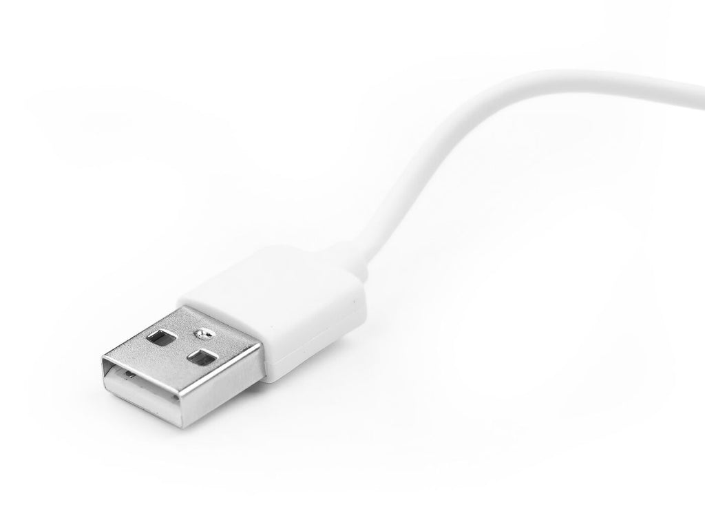 SenseCAP T1000 Magnetic USB Type-A to 2Pin Charging Cable
